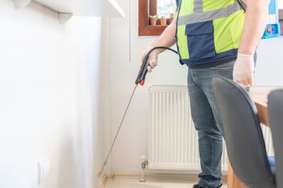 Ant Control Service in New Braunfels, TX