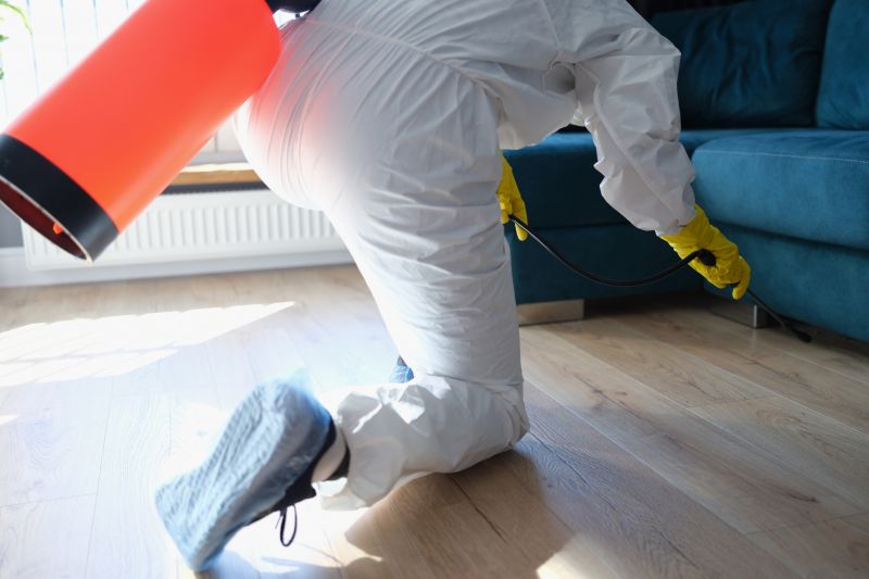 Carpet Beetle Extermination in Arlington, TX