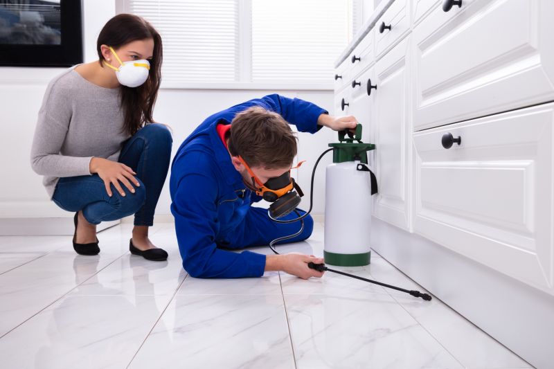 Insect Control Service in Arlington, TX