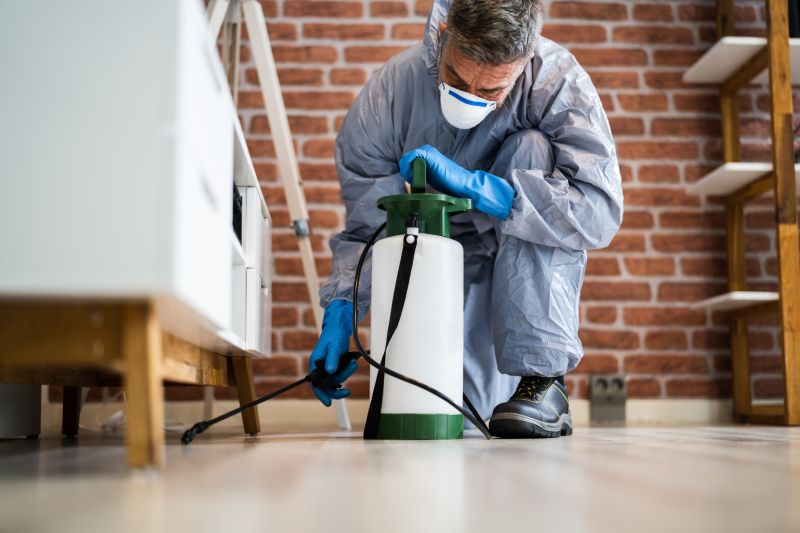 Insect Extermination Service in Katy, TX