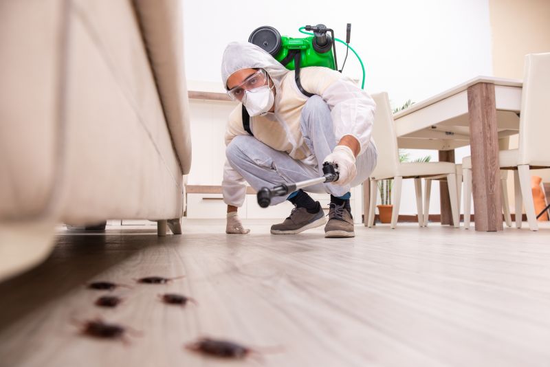 Insect Extermination Service in Katy, TX