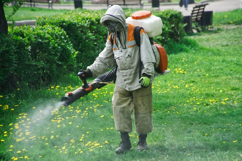 Lawn Insect Spraying in Arlington, TX