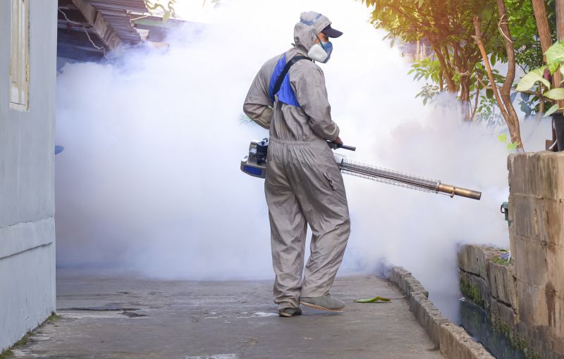 Mosquitoes Pest Control in Mckinney, TX