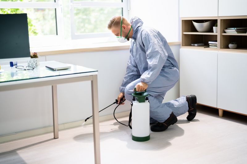 Pest Control Service in Frisco, TX