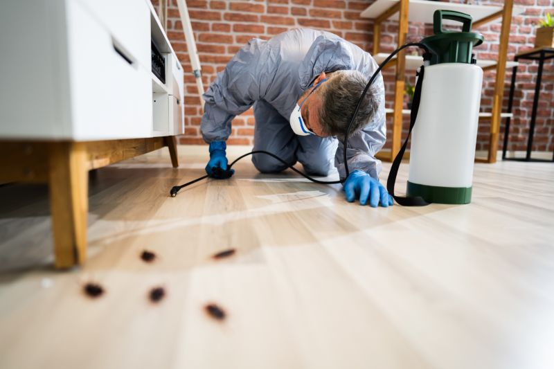 Pest Control Service in Katy, TX
