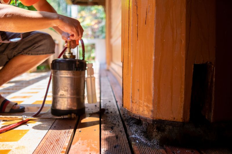 Termite Treatment Service in Frisco, TX