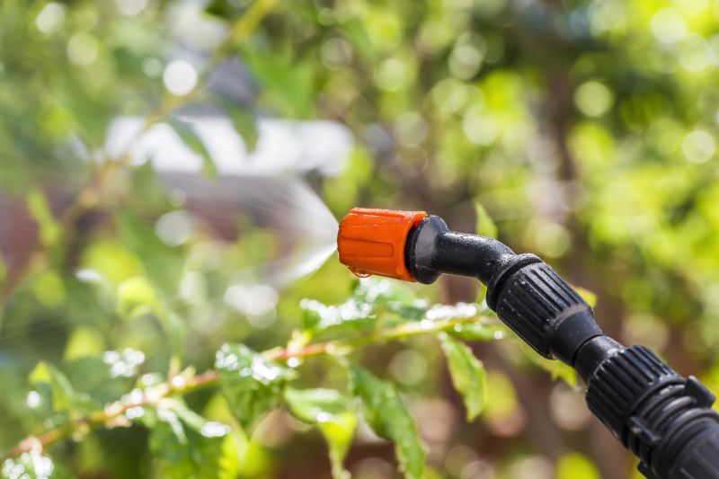 Yard Insect Treatment in Frisco, TX