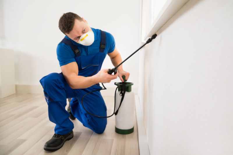 Yard Insect Treatment in Katy, TX