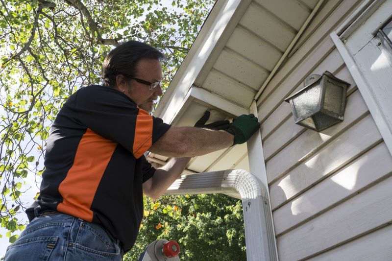 Wildlife Removal Service