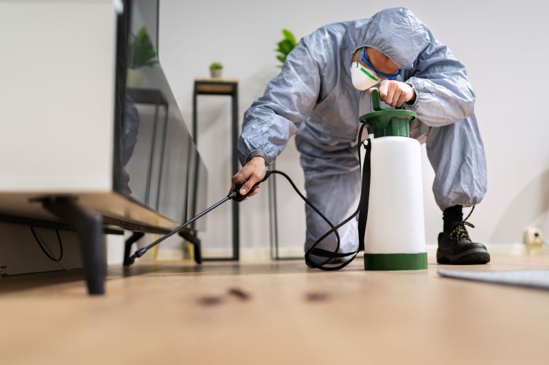 Pest Treatment Service in Frisco, TX